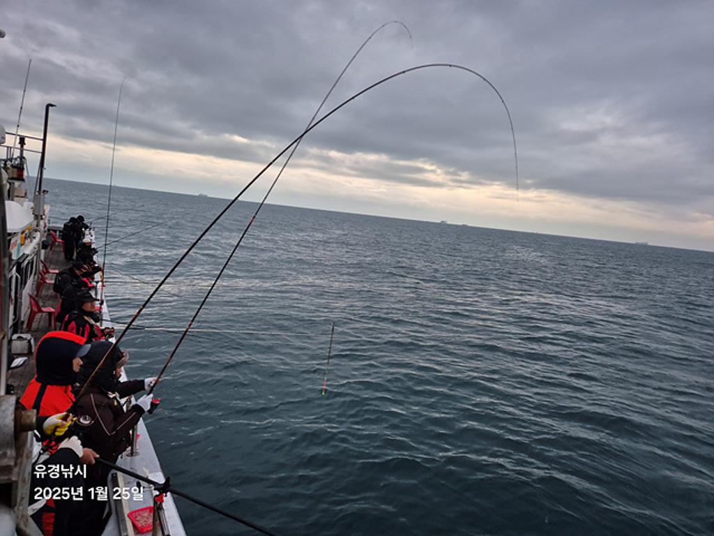 F2622116Y4.jpg