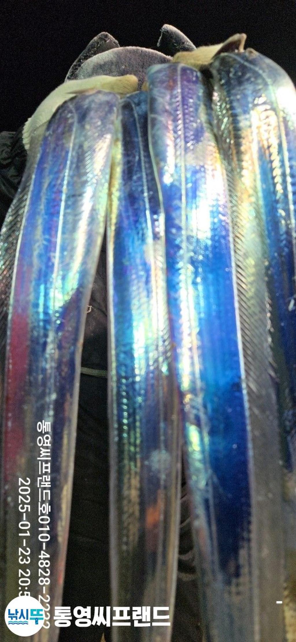 F262244371.jpg
