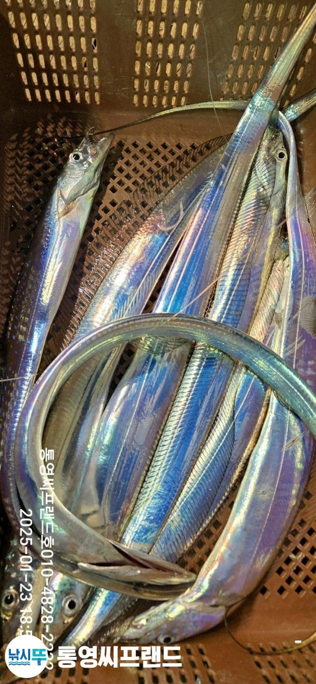 F2622444V6.jpg