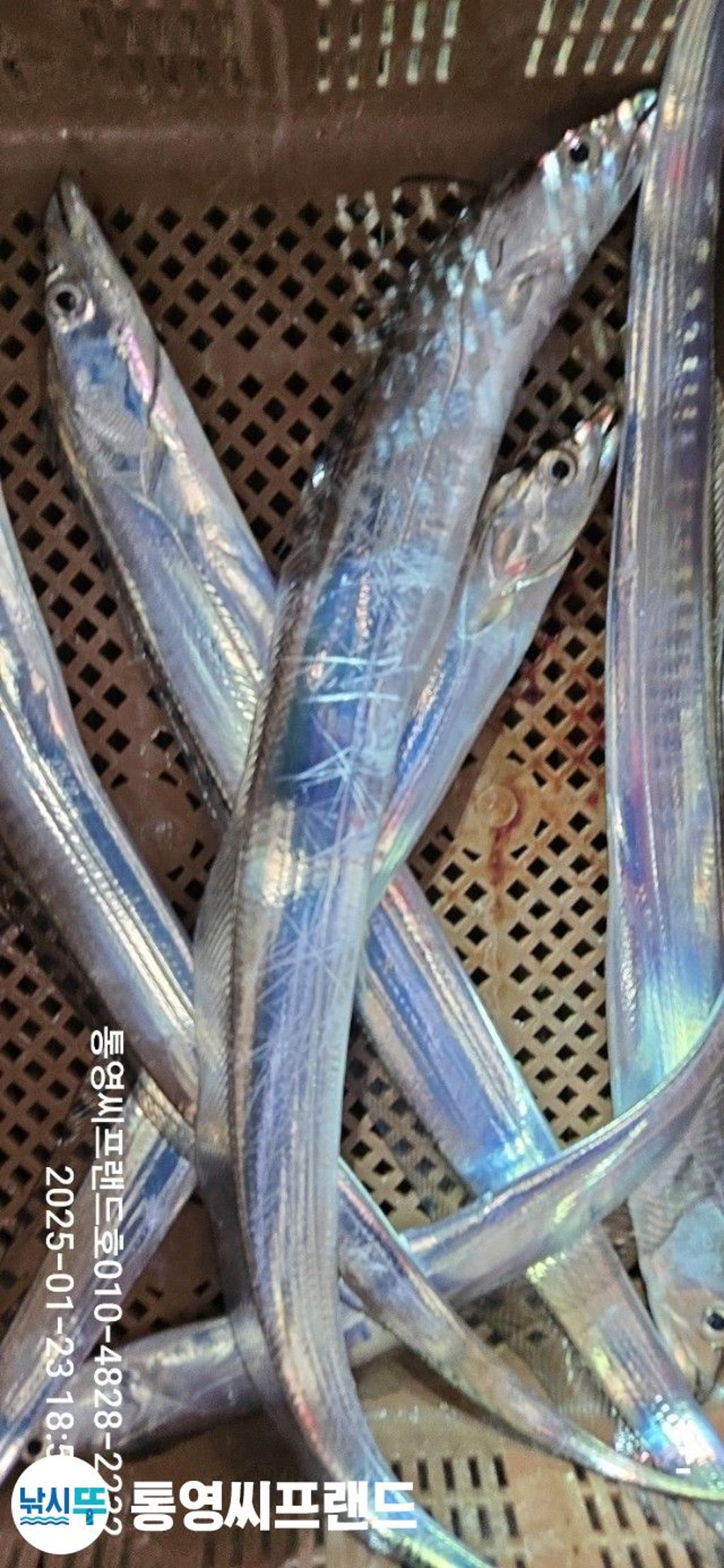 F262245361.jpg