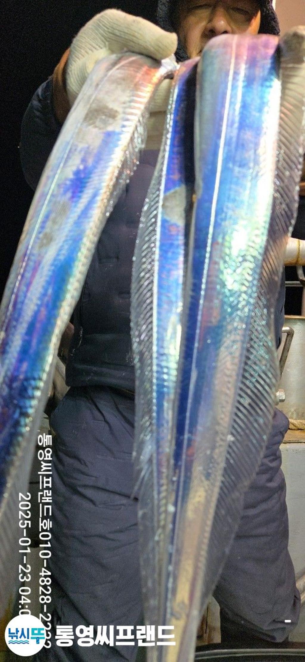 F2622462Y2.jpg