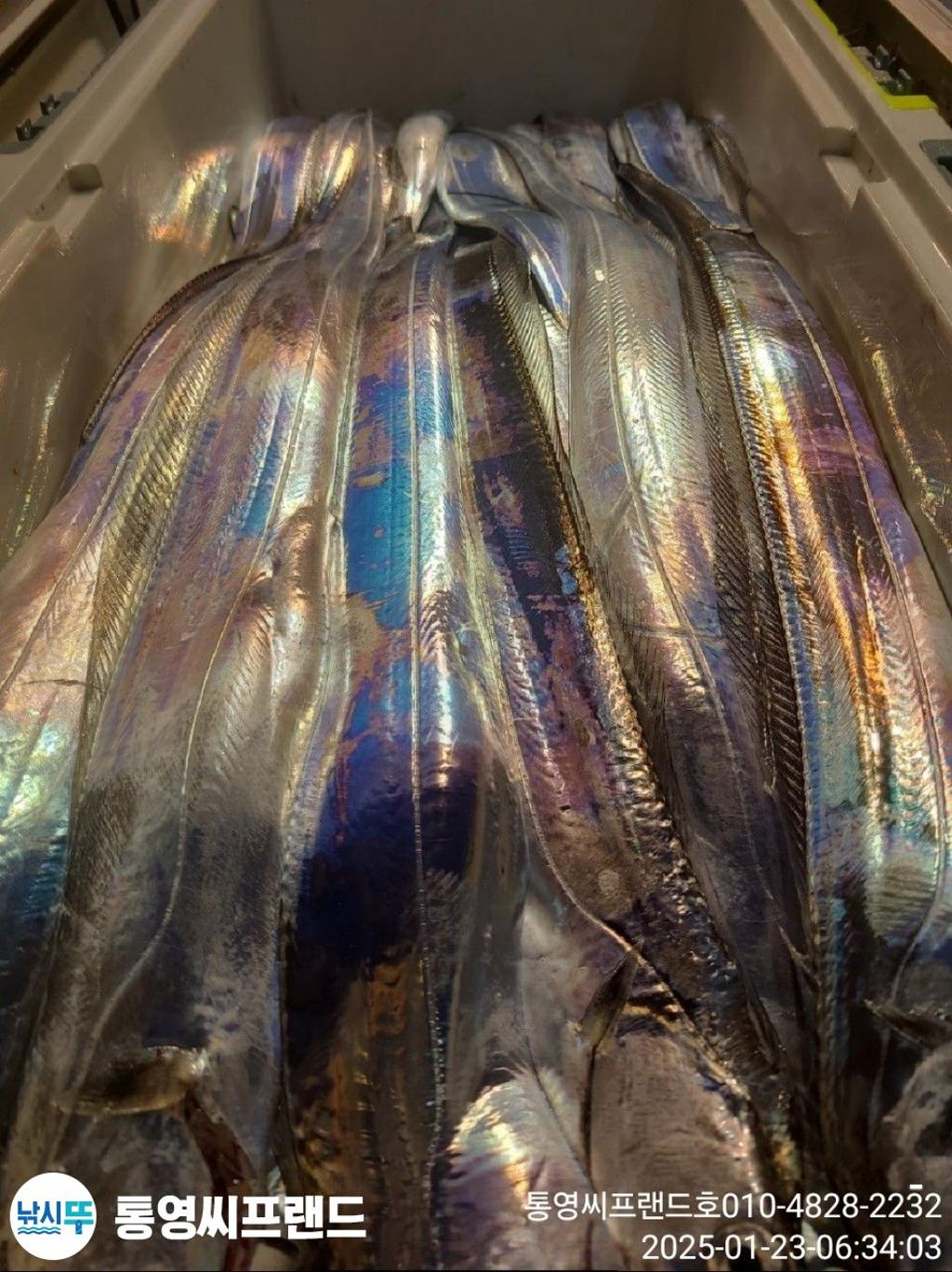 F2622484P6.jpg