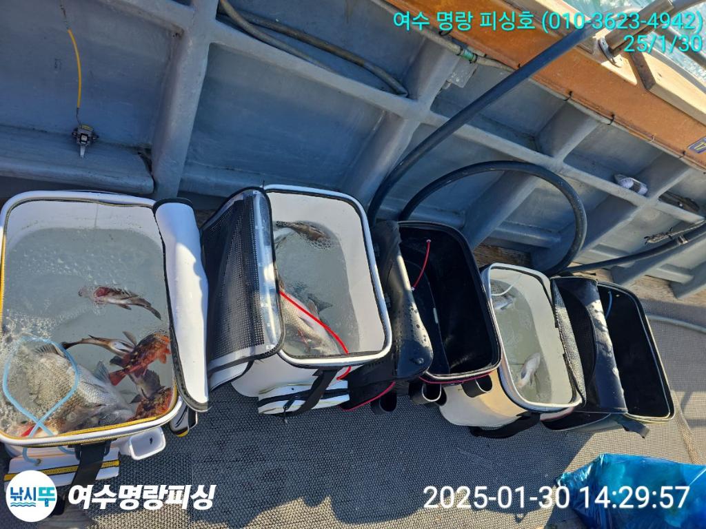 F262270108.jpg