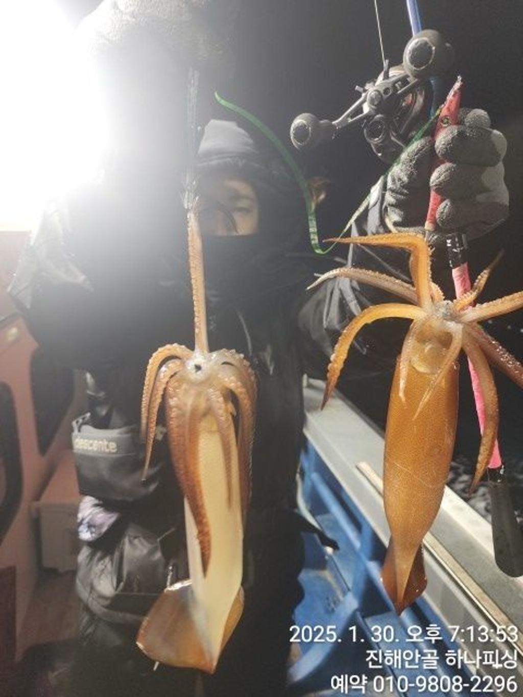 낚시뚜,오징어,진해 안골항,진해 하나피싱,낚시뚜6