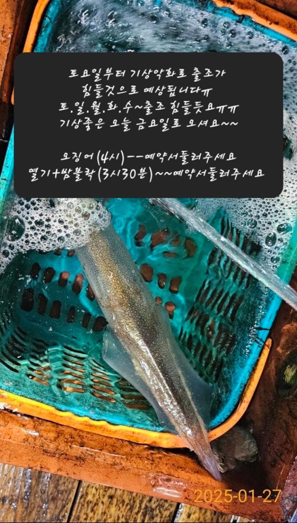 기타 (직접입력), 삼포대교낚시, 낚시뚜