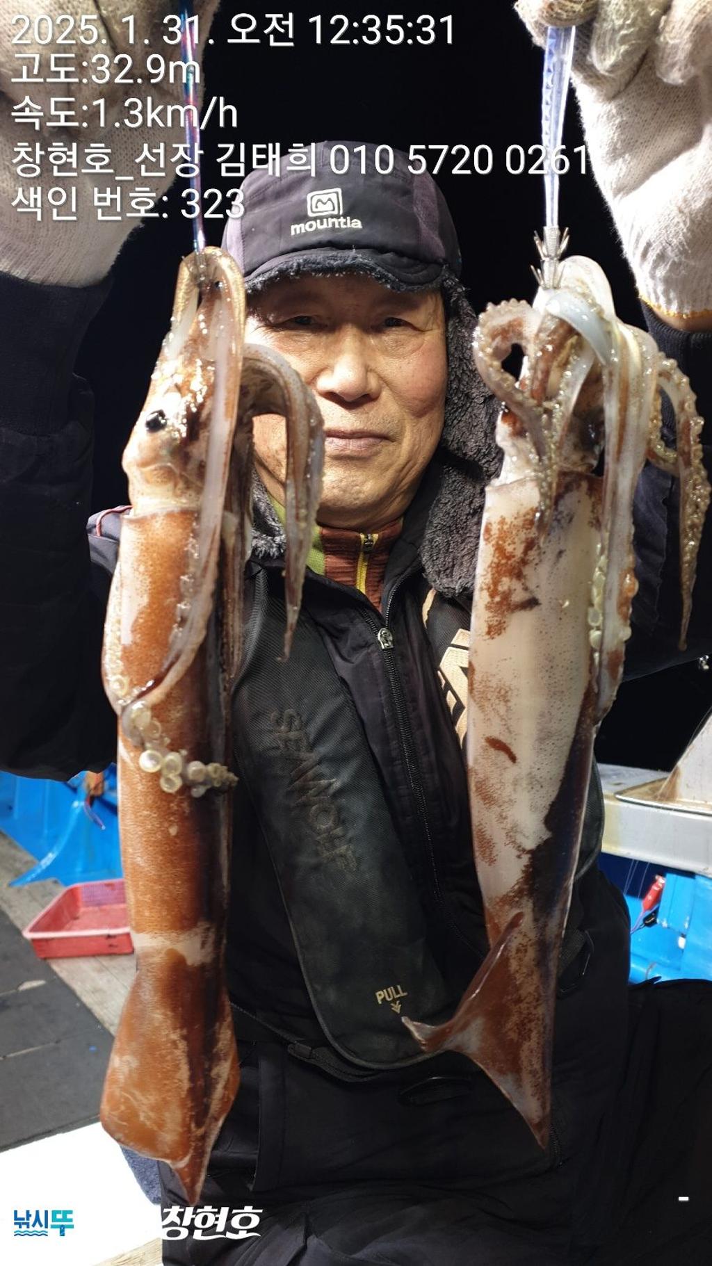낚시뚜,오징어,통영연명항,통영창현호,낚시뚜8