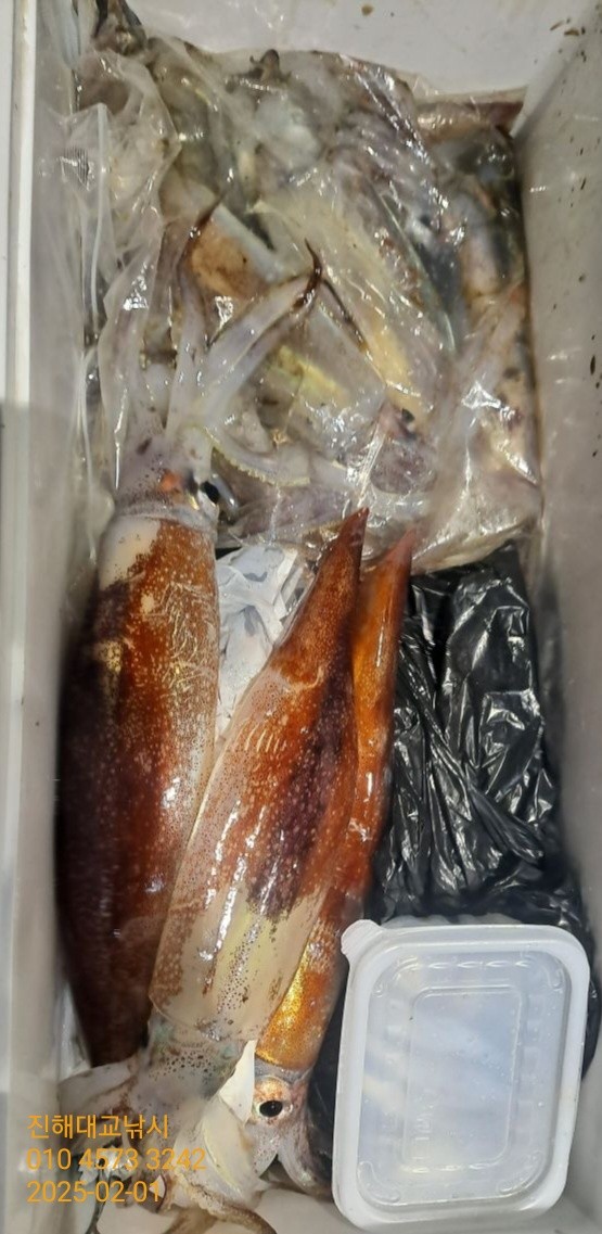 기타 (직접입력), 삼포대교낚시, 낚시뚜