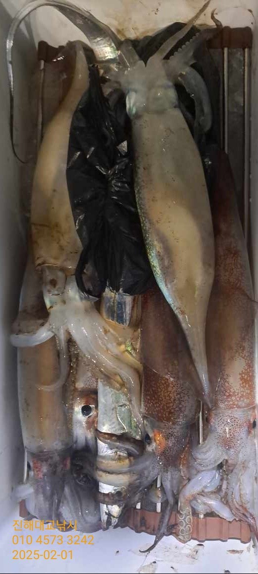 기타 (직접입력), 삼포대교낚시, 낚시뚜