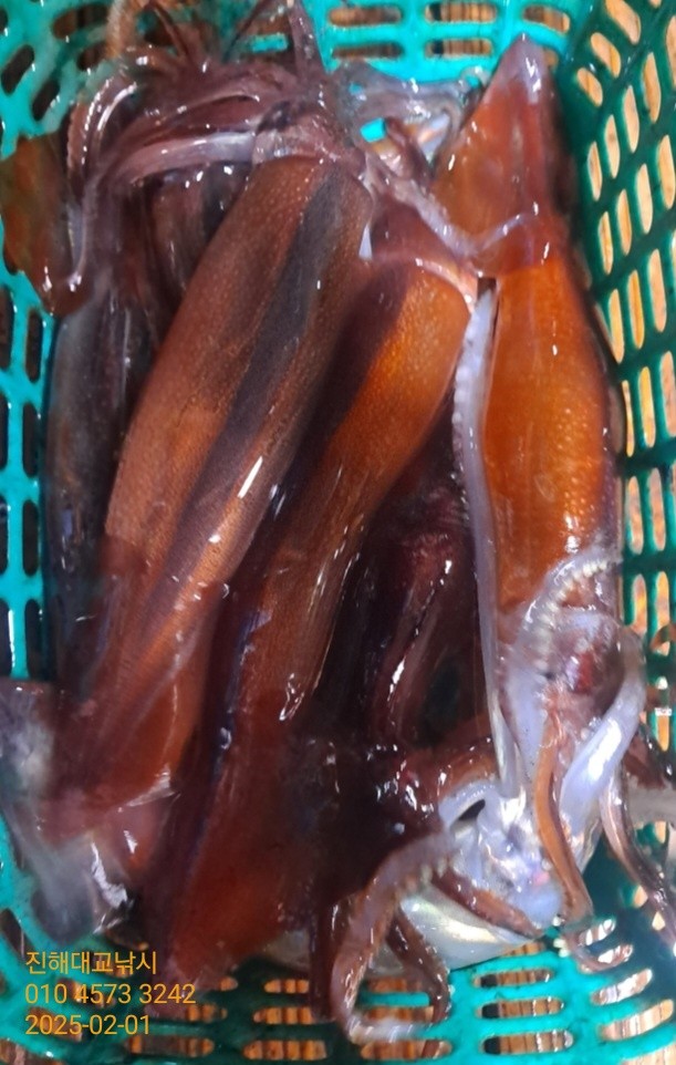 기타 (직접입력), 삼포대교낚시, 낚시뚜