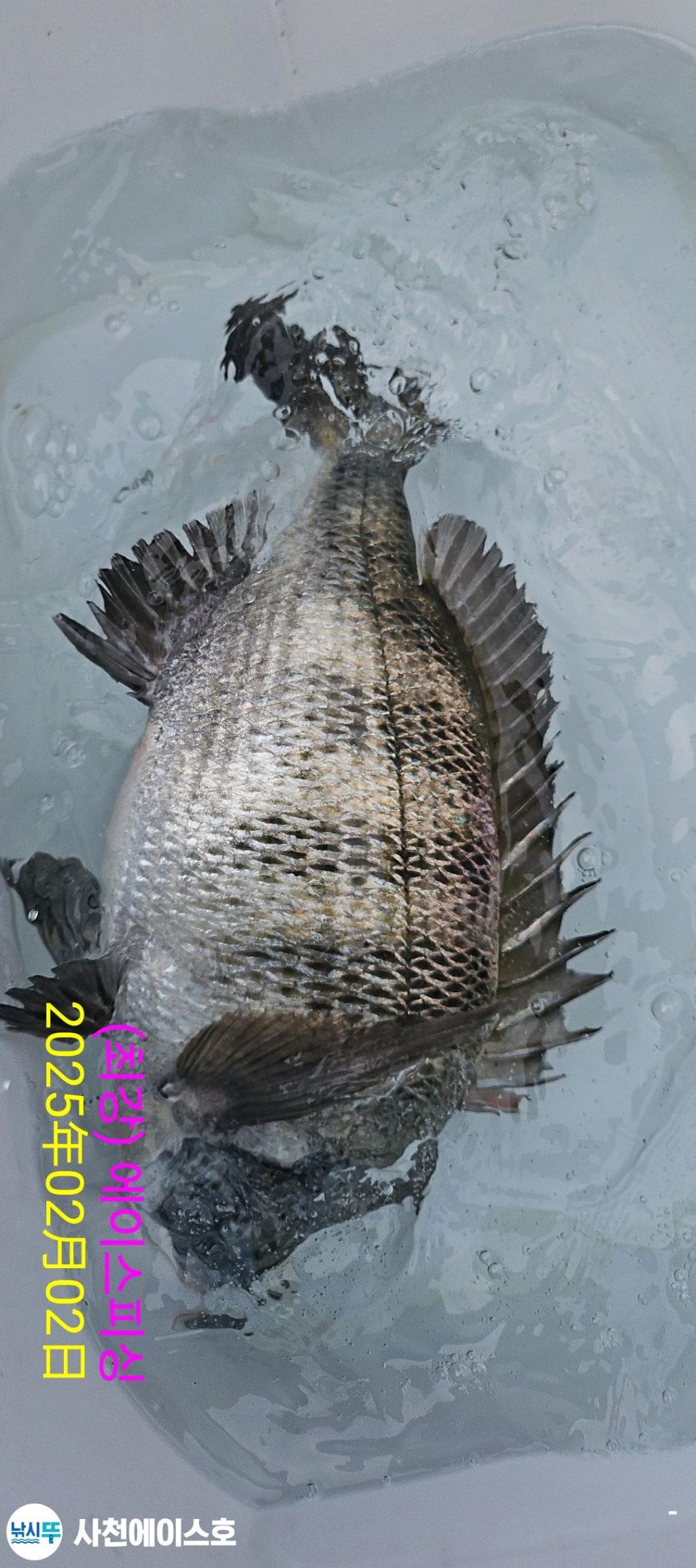 F2624002JX.jpg