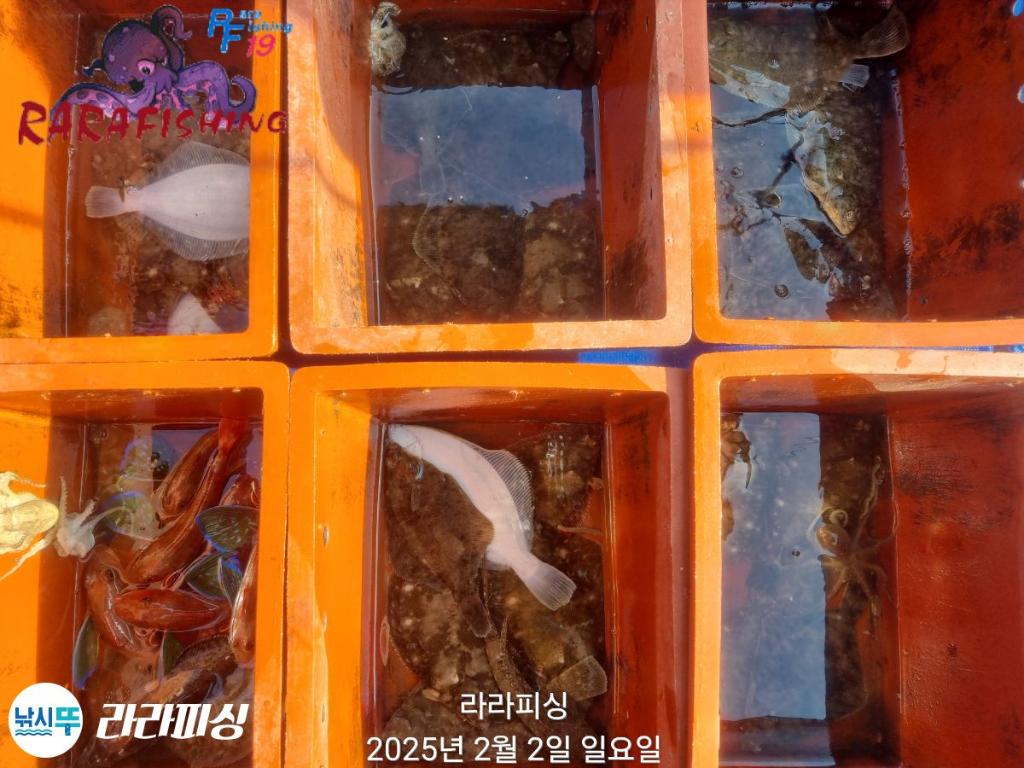낚시뚜,도다리,속천항(진해),라라피싱,낚시뚜30