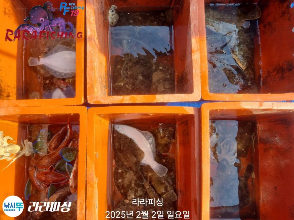 낚시뚜,도다리,속천항(진해),라라피싱,낚시뚜29