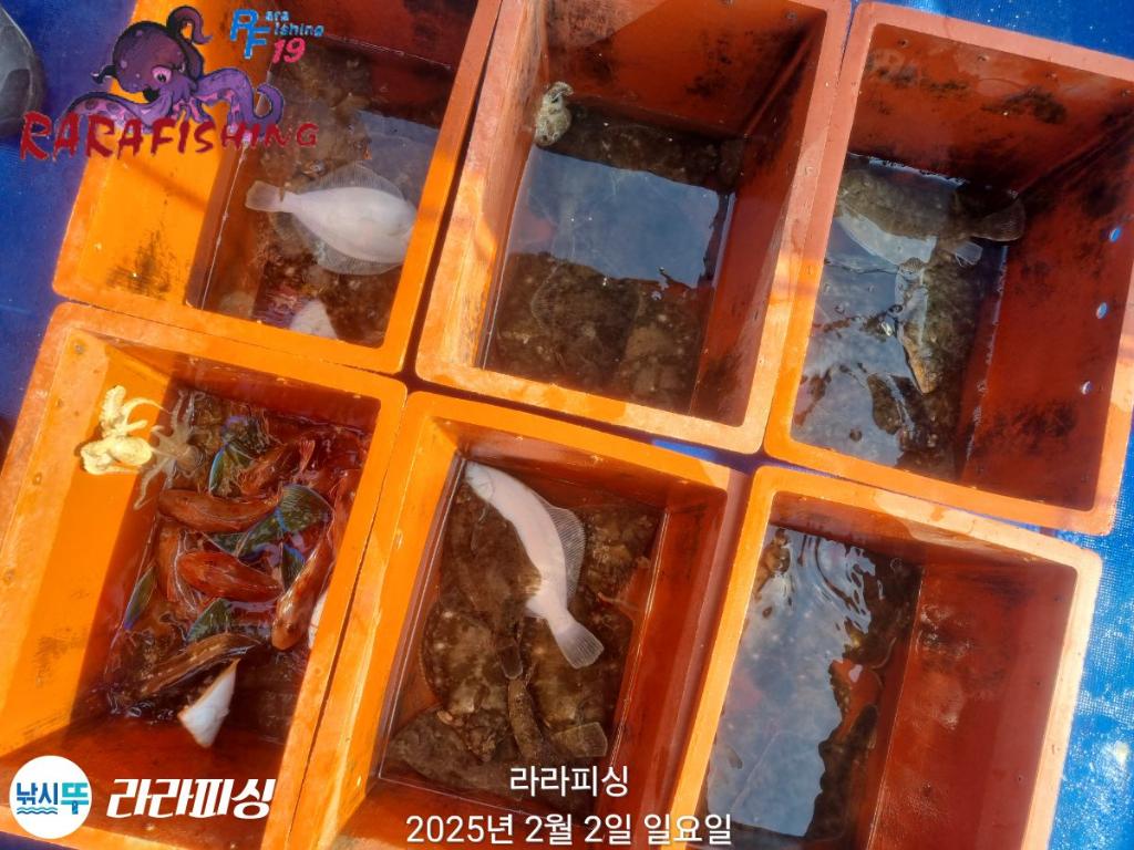 낚시뚜,도다리,속천항(진해),라라피싱,낚시뚜28