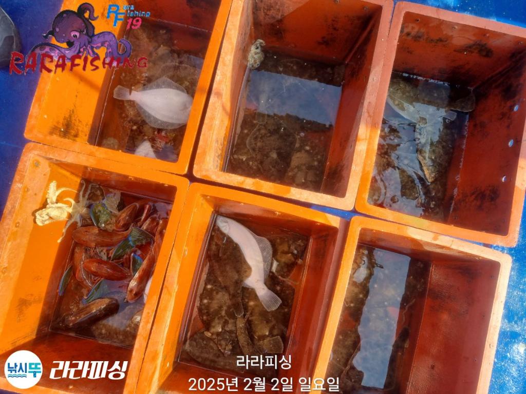 낚시뚜,도다리,속천항(진해),라라피싱,낚시뚜27
