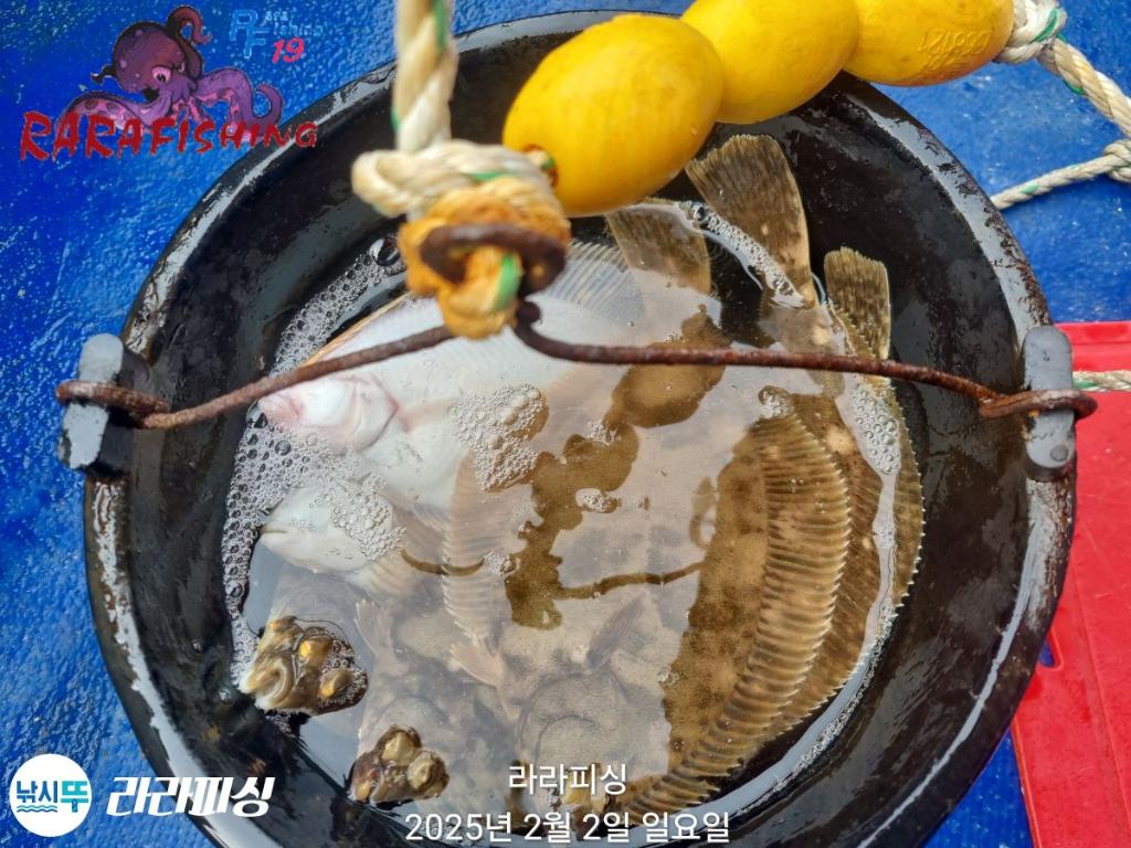 낚시뚜,도다리,속천항(진해),라라피싱,낚시뚜26