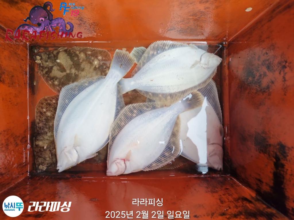 낚시뚜,도다리,속천항(진해),라라피싱,낚시뚜22