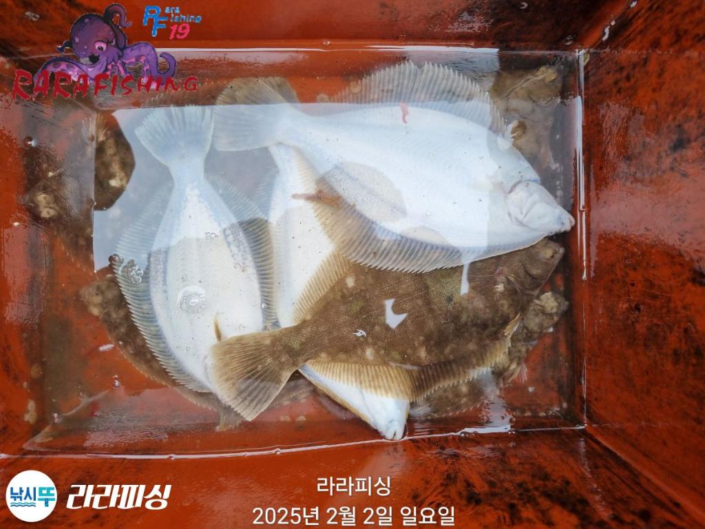 낚시뚜,도다리,속천항(진해),라라피싱,낚시뚜21