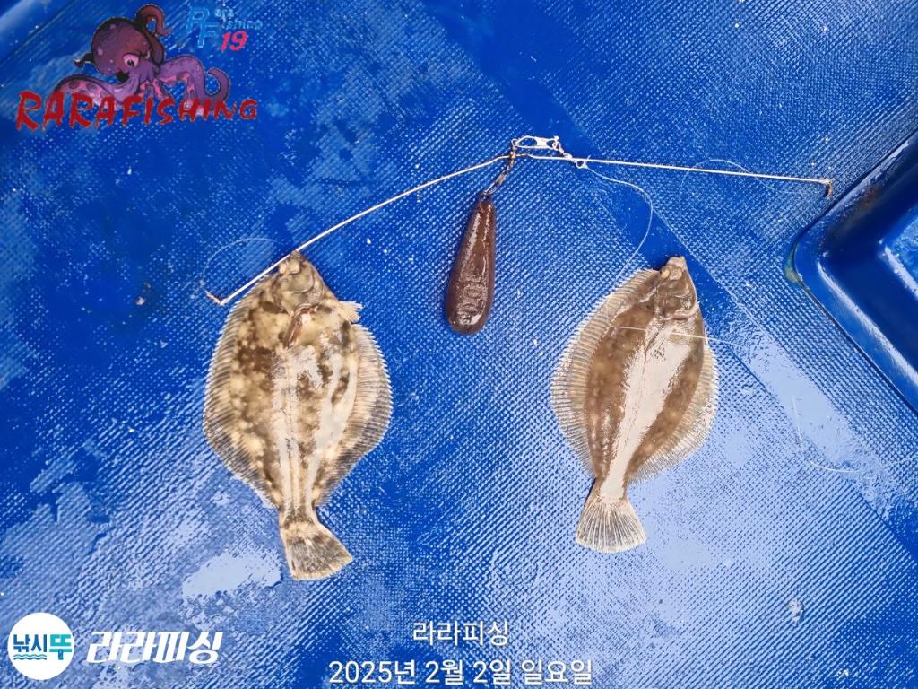 낚시뚜,도다리,속천항(진해),라라피싱,낚시뚜17