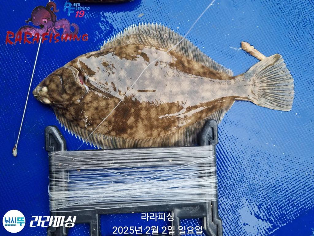 낚시뚜,도다리,속천항(진해),라라피싱,낚시뚜16