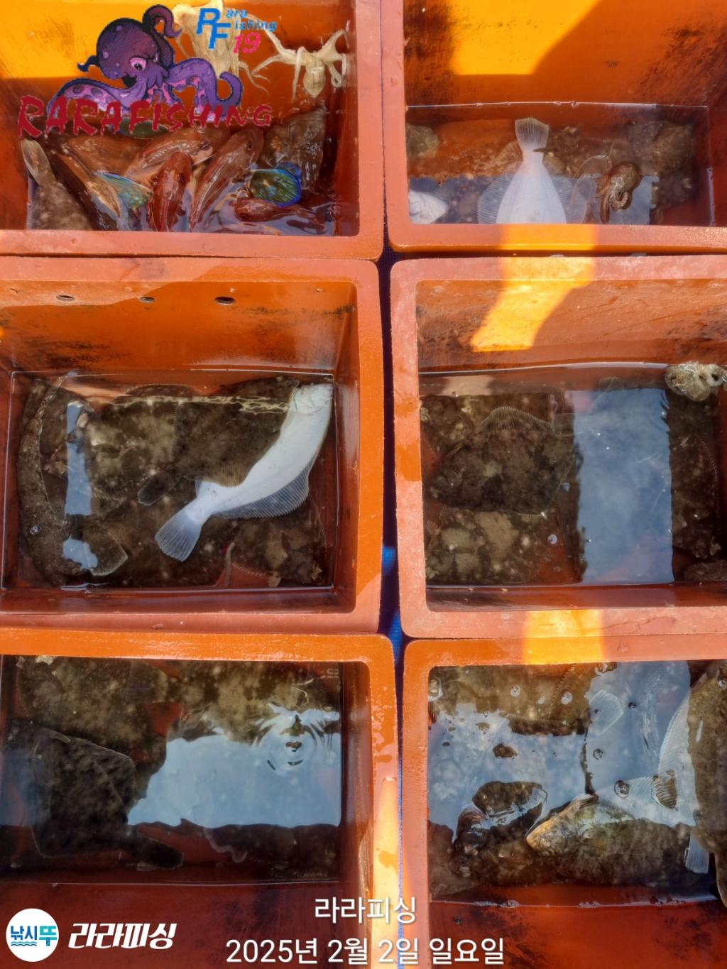 낚시뚜,도다리,속천항(진해),라라피싱,낚시뚜1