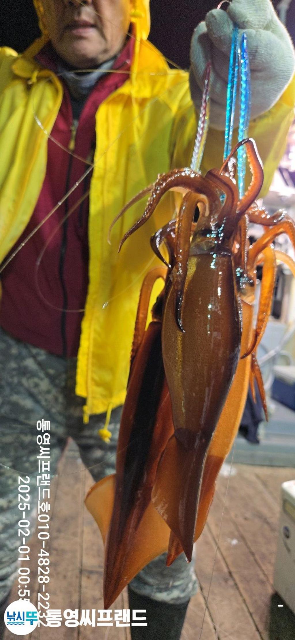 F2624276S5.jpg