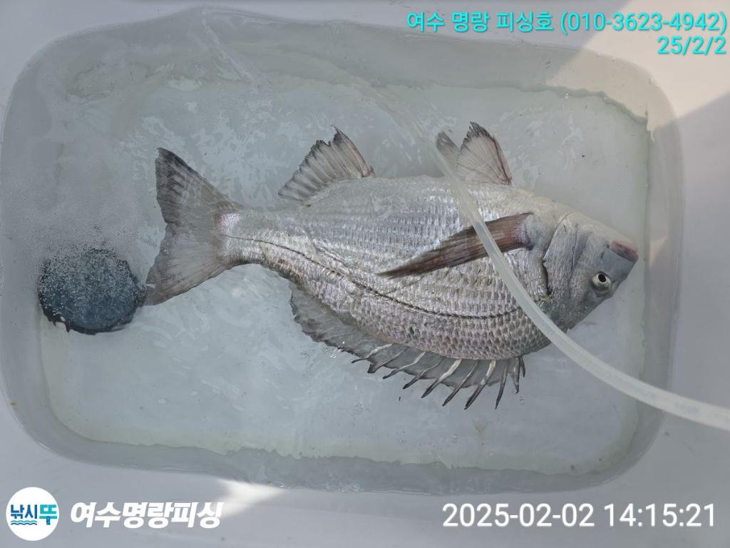 F2624572IY.jpg