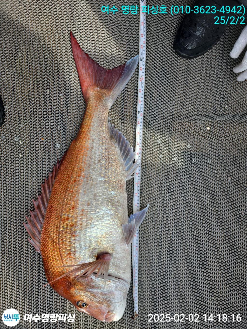 F26245740Y.jpg