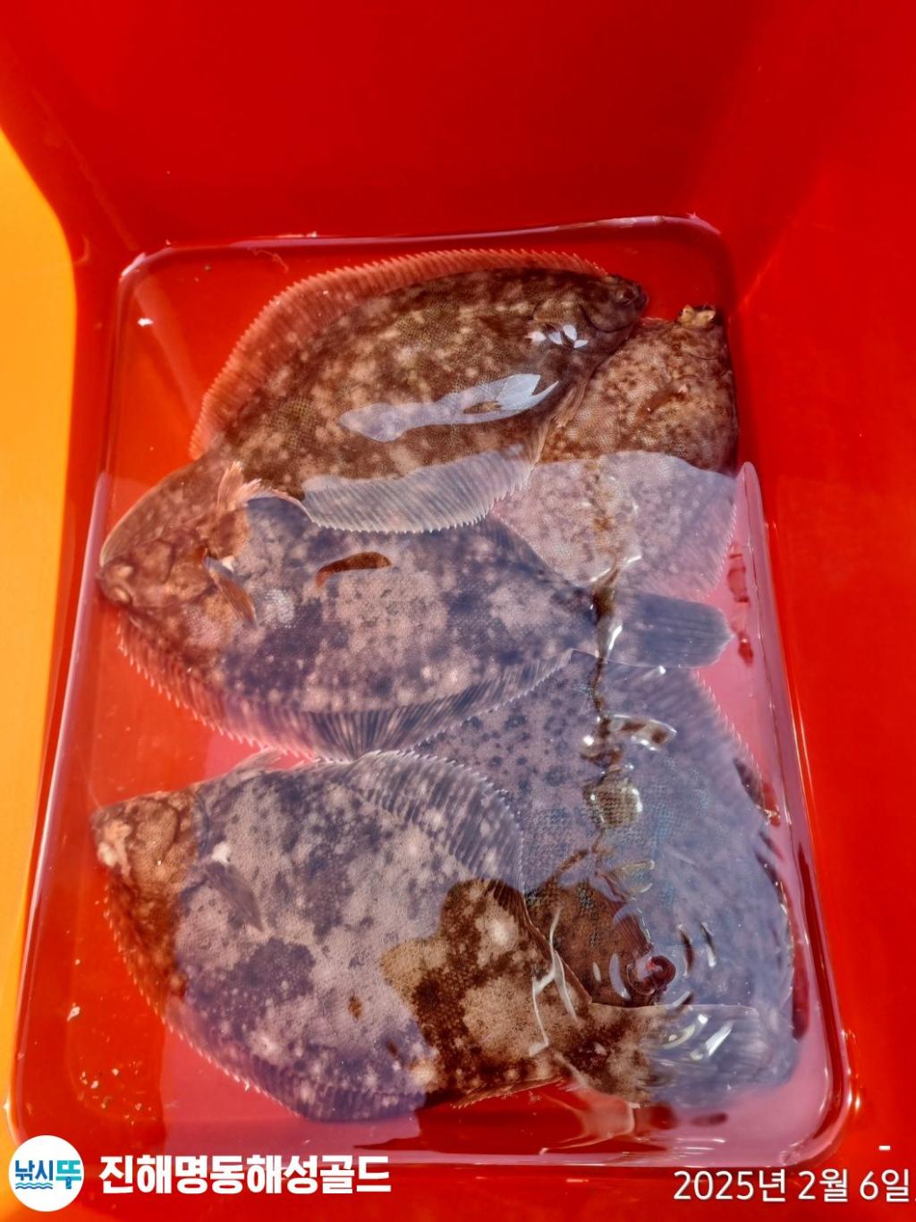 F2624932IH.jpg