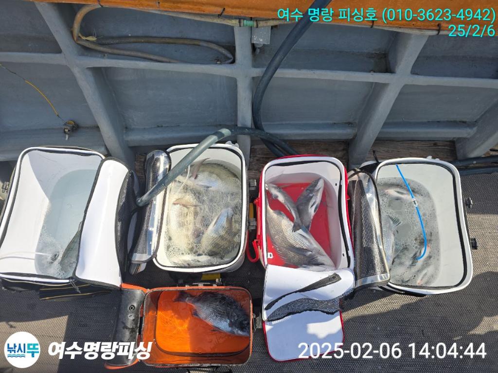 F26252572Y.jpg