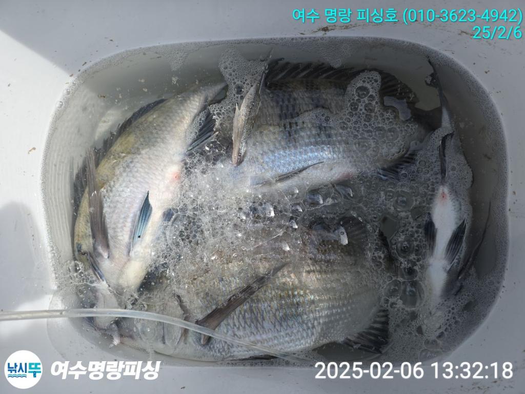 F2625263AW.jpg