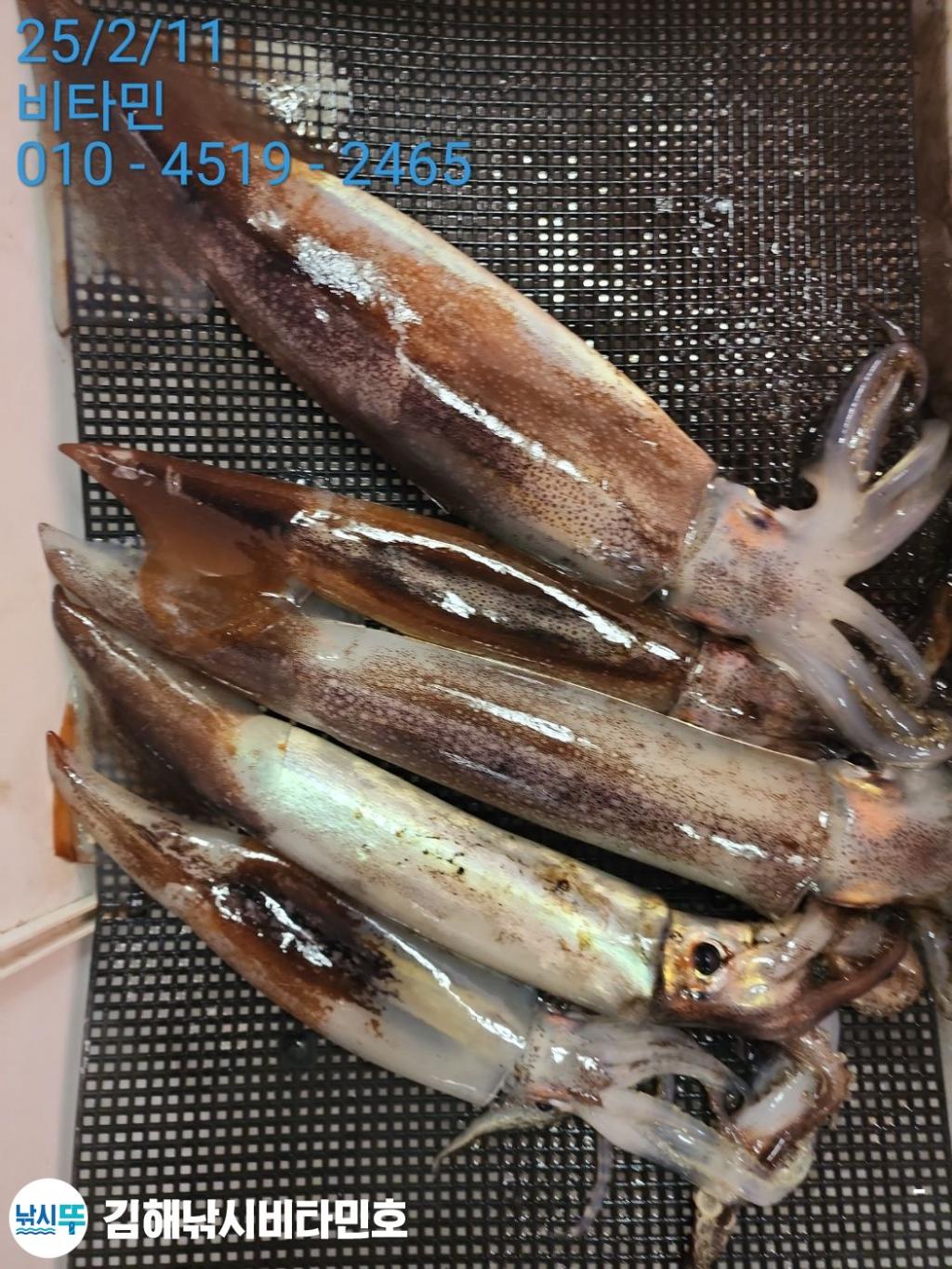 F2626149QO.jpg
