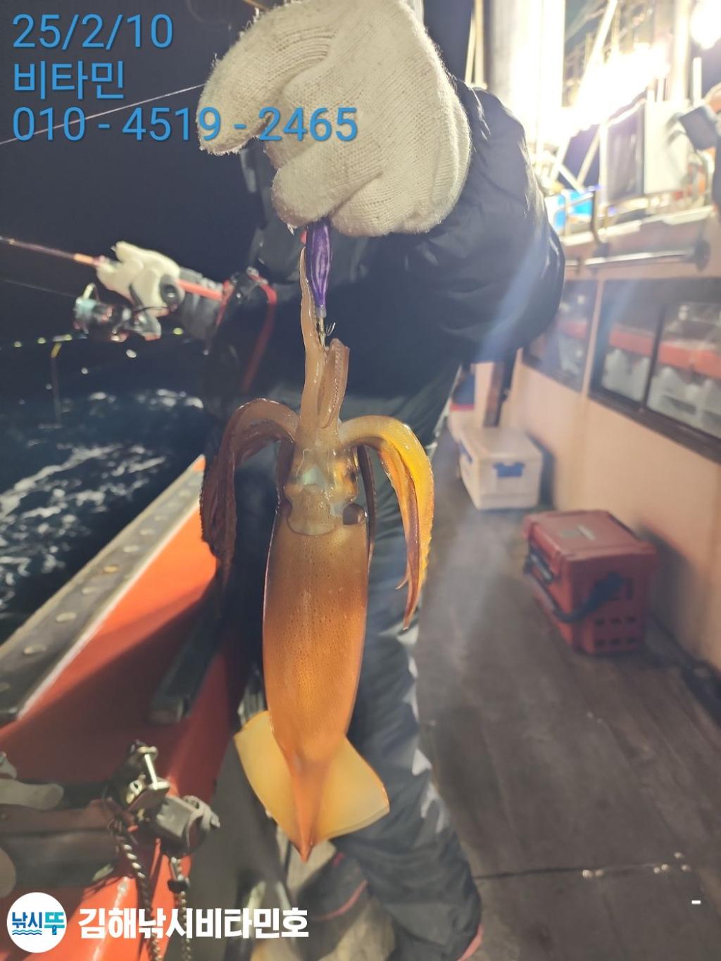 F26261597W.jpg