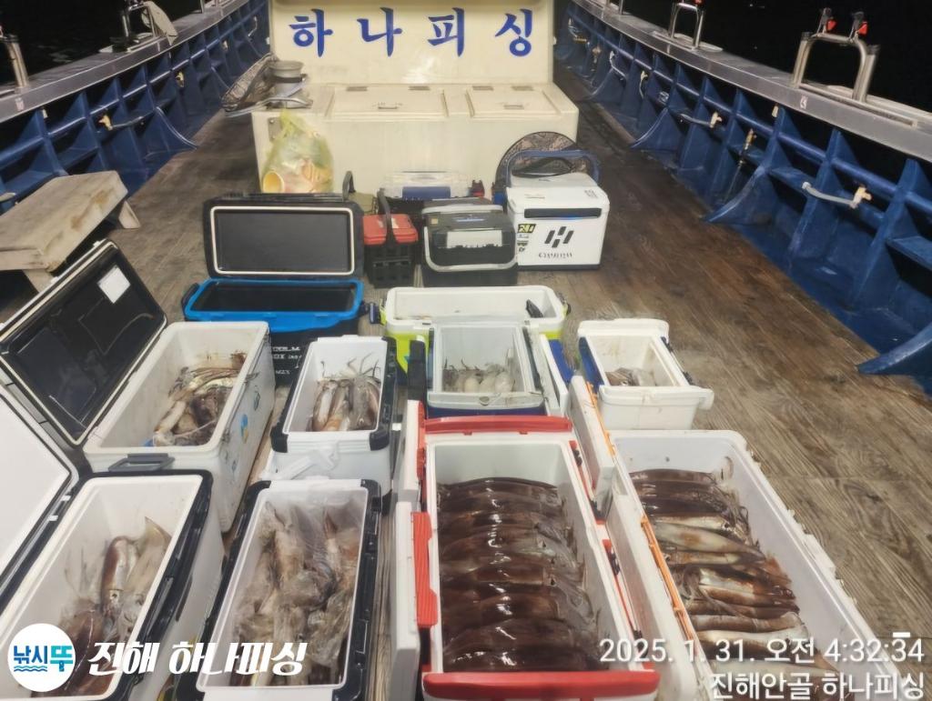 낚시뚜,오징어,진해 안골항,진해 하나피싱,낚시뚜0