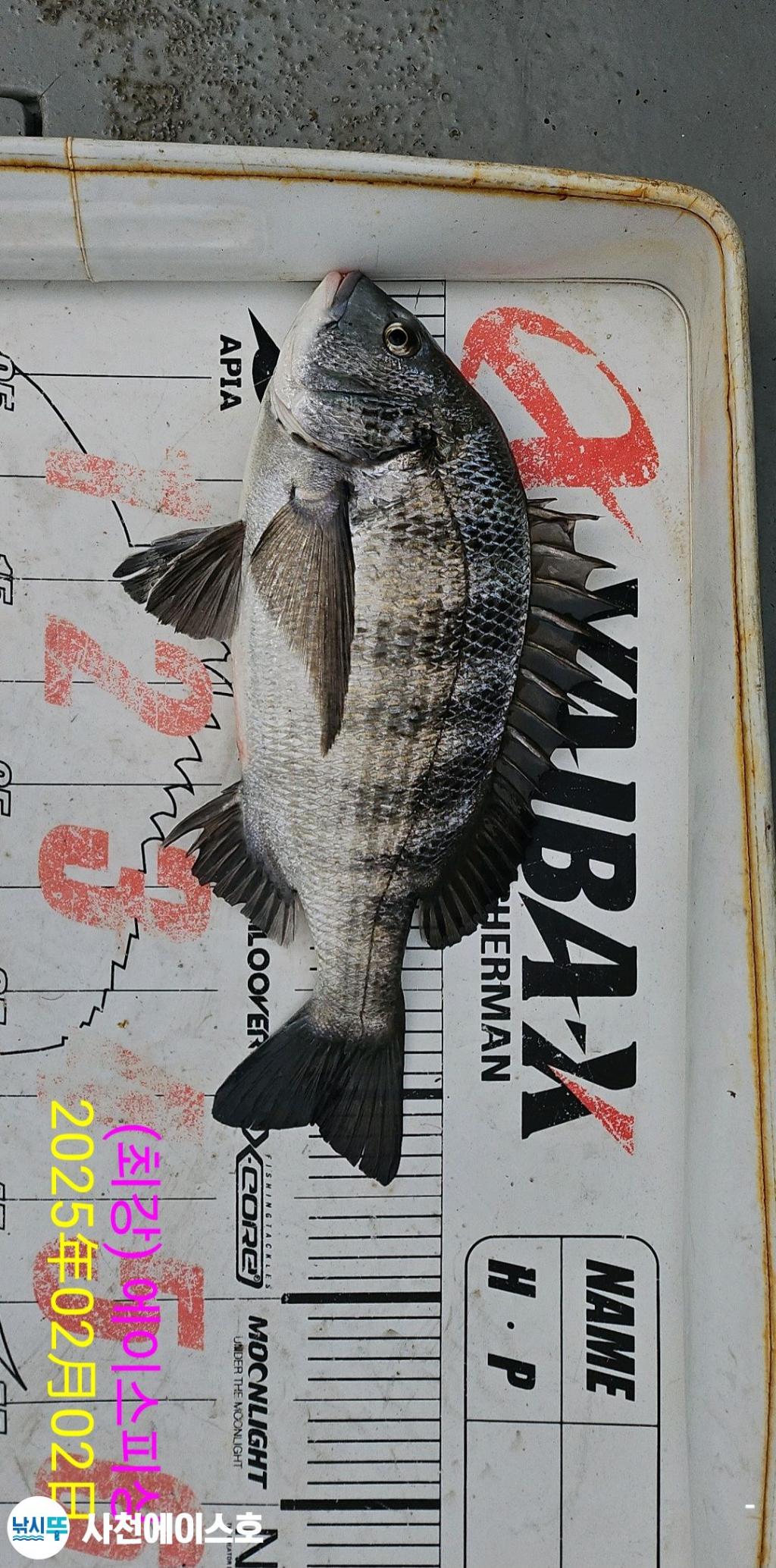 F2627341LT.jpg