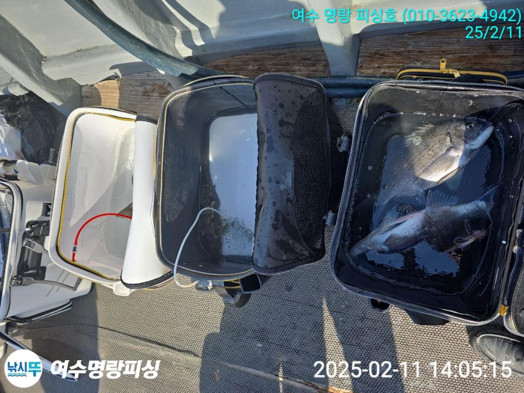 F2627474HI.jpg