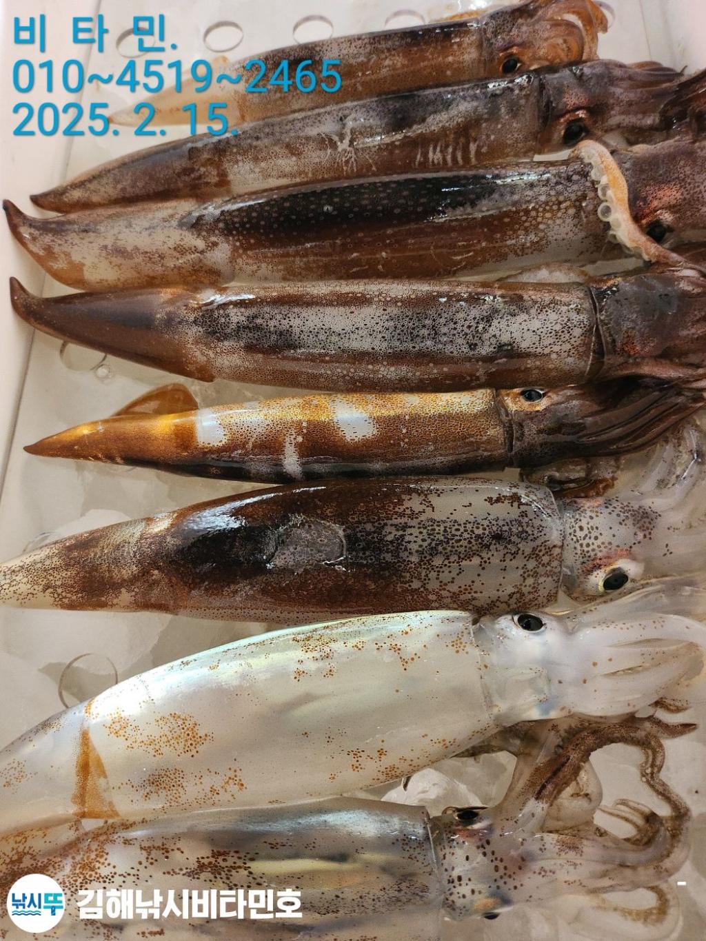 F2627778FC.jpg