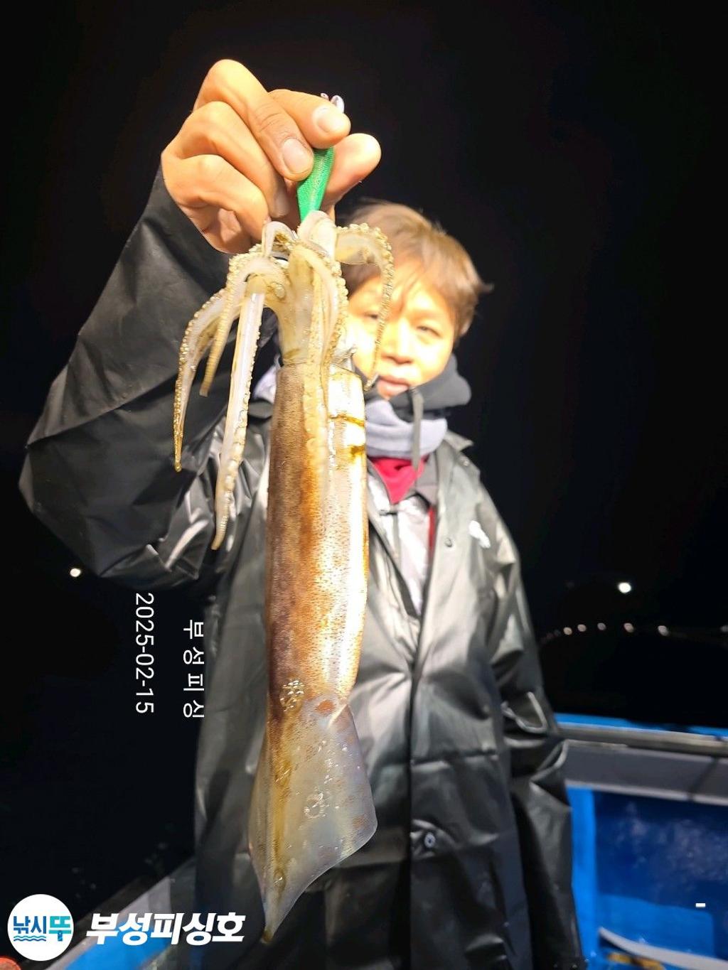 F2628543YH.jpg