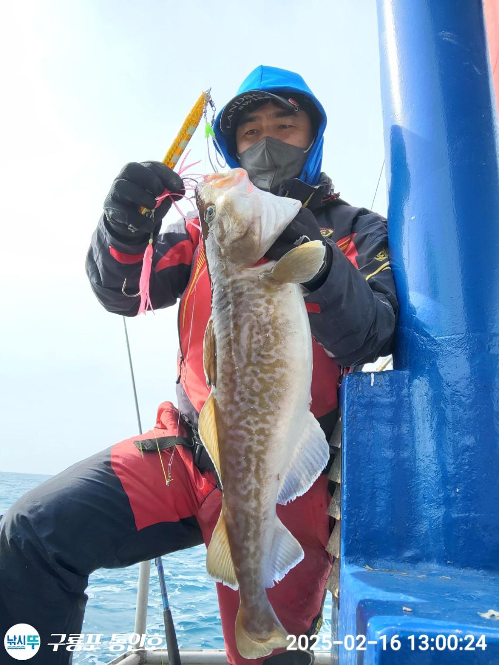 낚시뚜,대구,구룡포항,구룡포 동인호,낚시뚜9