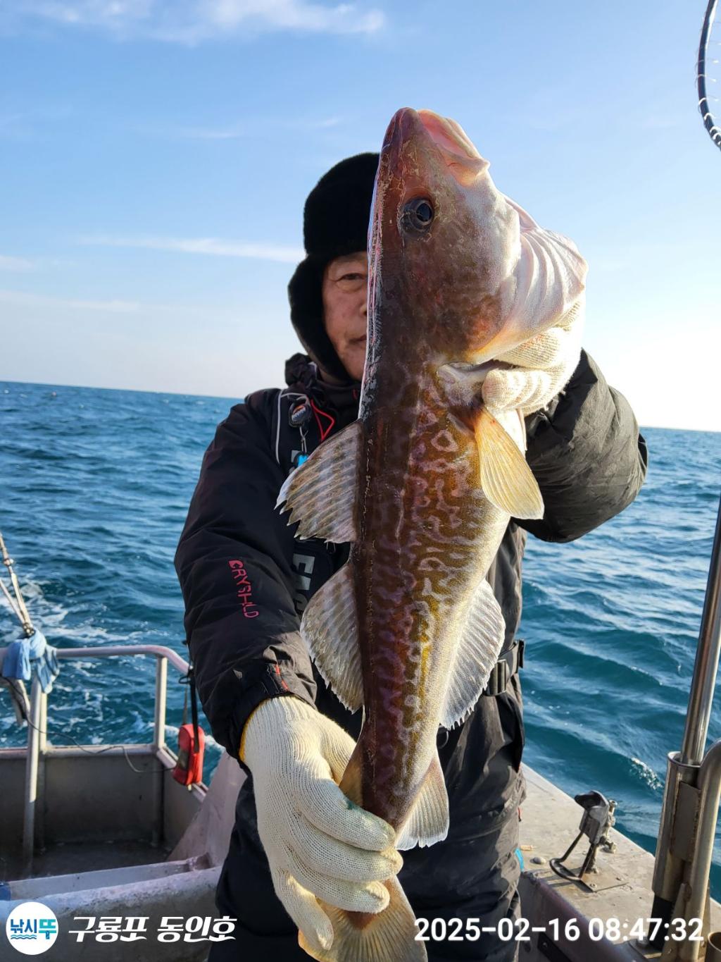 낚시뚜,대구,구룡포항,구룡포 동인호,낚시뚜4