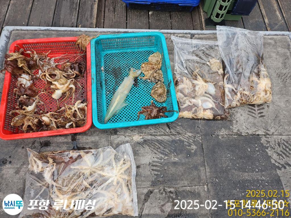 낚시뚜,쭈꾸미,대구,구룡포항,포항 루나피싱,낚시뚜17
