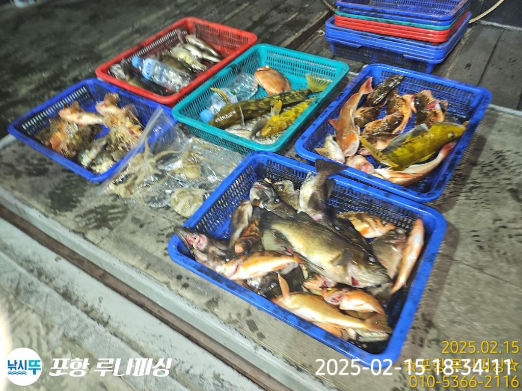 낚시뚜,쭈꾸미,대구,구룡포항,포항 루나피싱,낚시뚜16