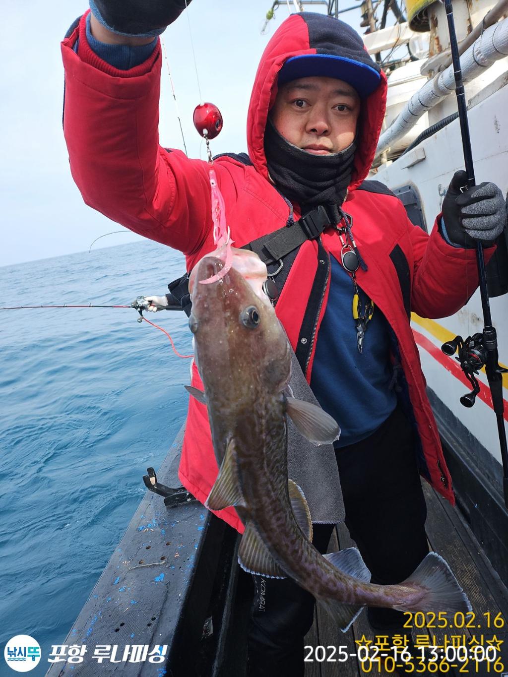 낚시뚜,쭈꾸미,대구,구룡포항,포항 루나피싱,낚시뚜7
