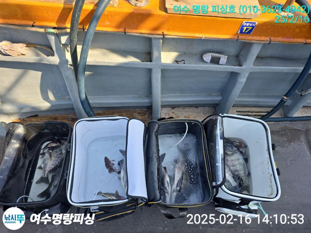 낚시뚜,감성돔,국동항,여수명랑피싱,낚시뚜5