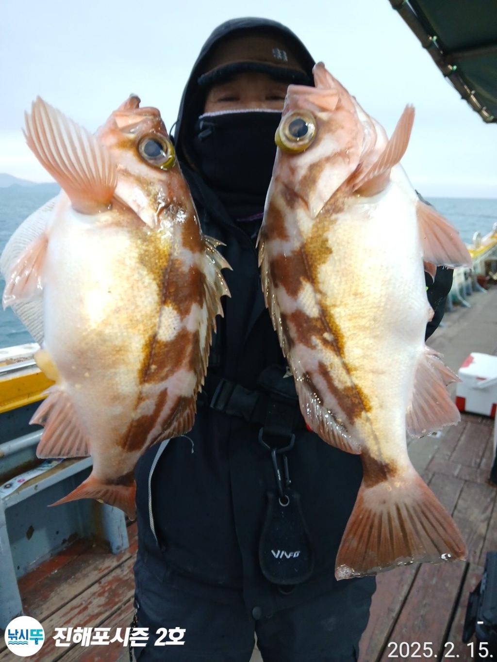 낚시뚜,볼락,열기,진해행암항,진해포시즌 2호,낚시뚜0