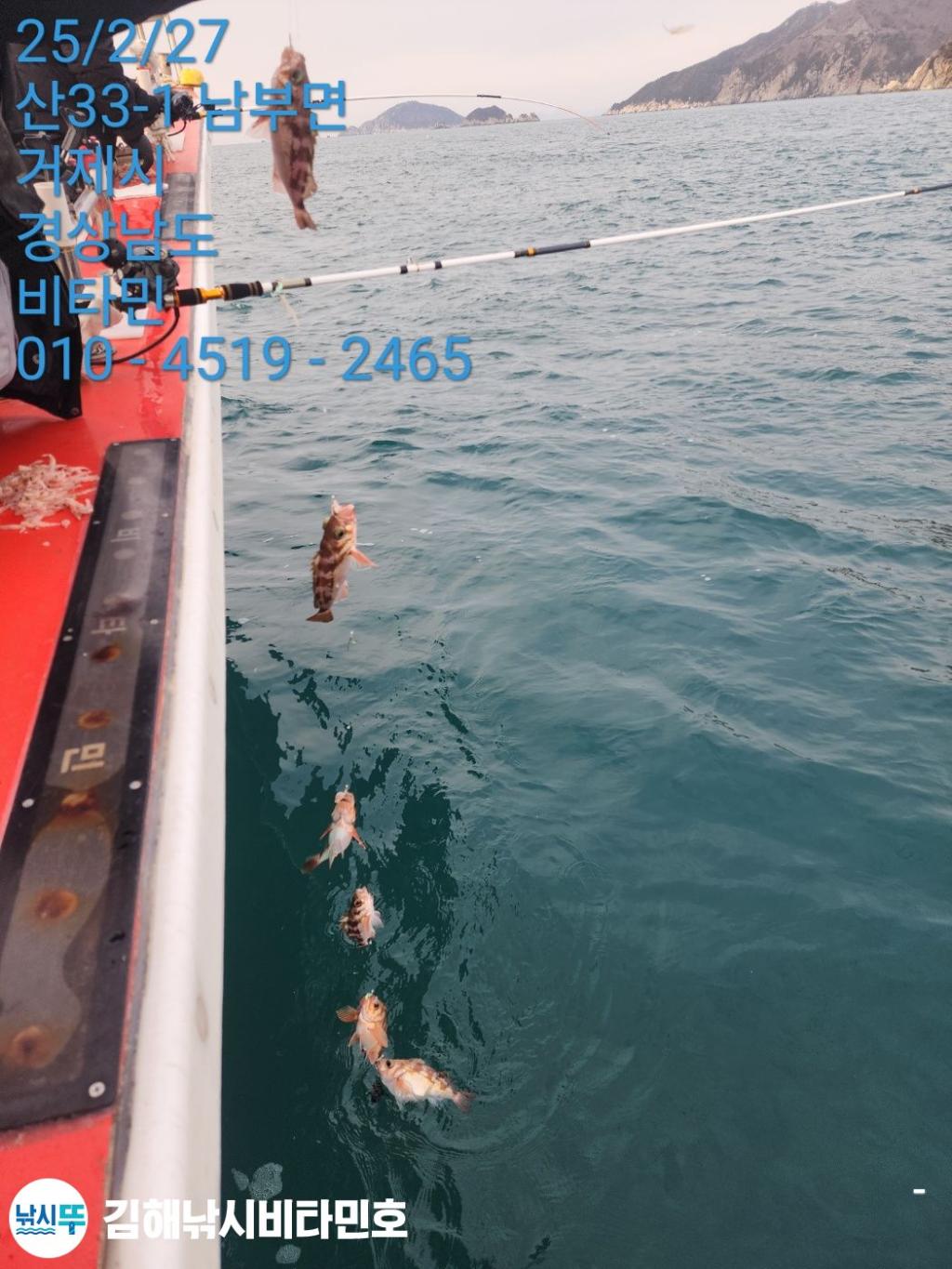 F2633198KE.jpg