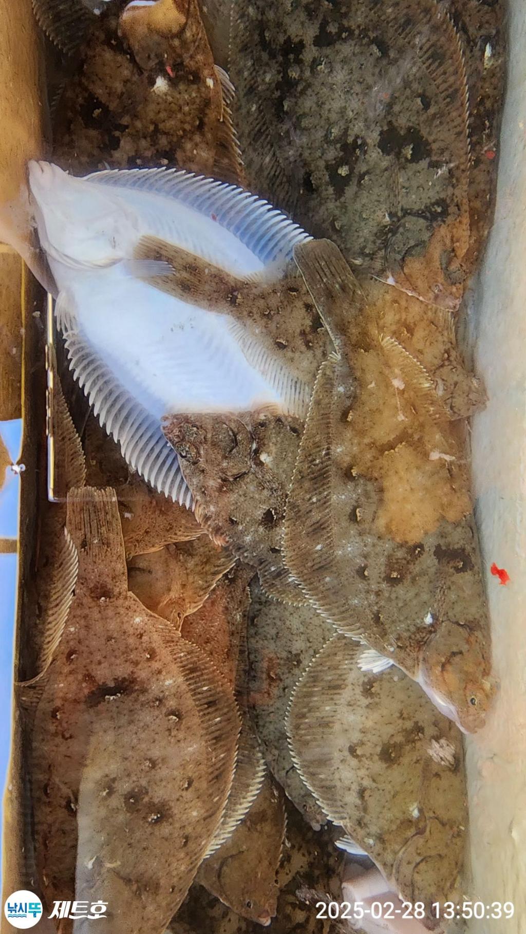 F2633922UK.jpg