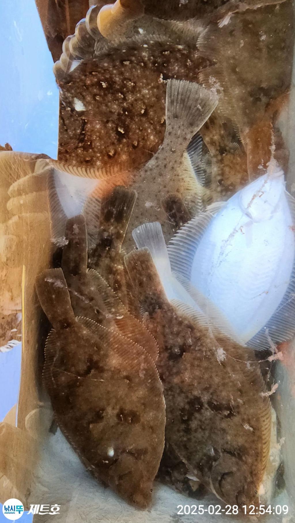 F263394221.jpg