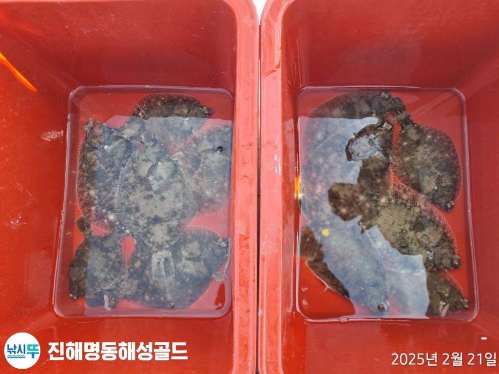 F2634017JY.jpg
