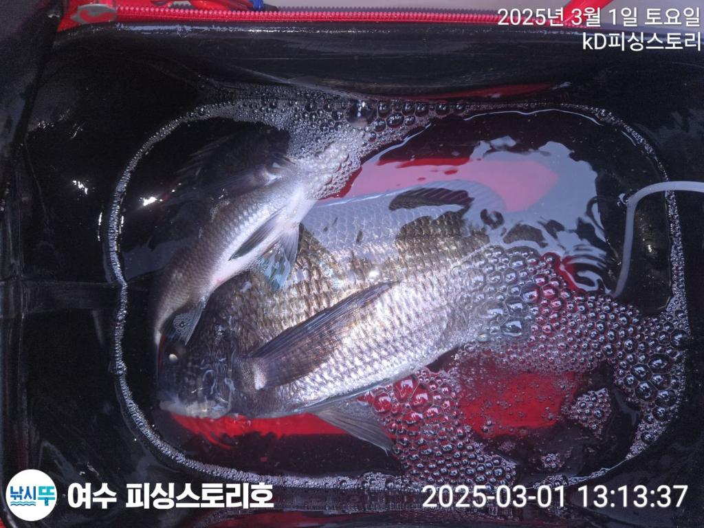 F26344863D.jpg
