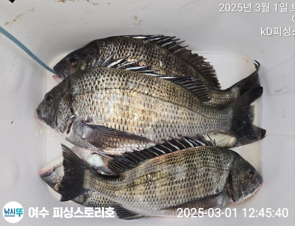 F2634488ZY.jpg